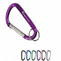 Customized Carabiner keychain with ring